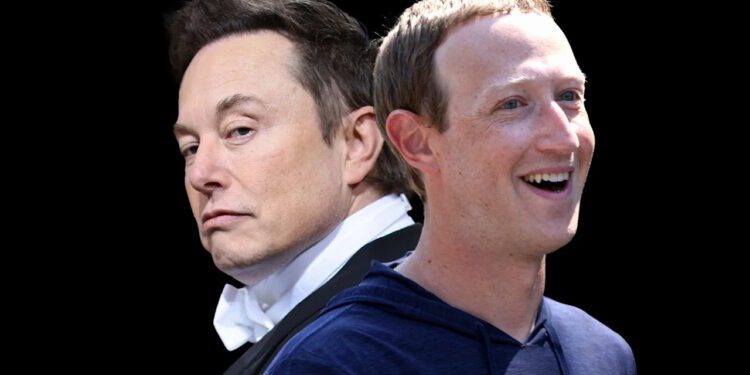 Zuckerberg Wants To “Move On” From Cage Fight With Musk