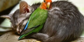 Building a Culture of Kindness: Mindy Stearns’ Method Goes Beyond Just Being Nice