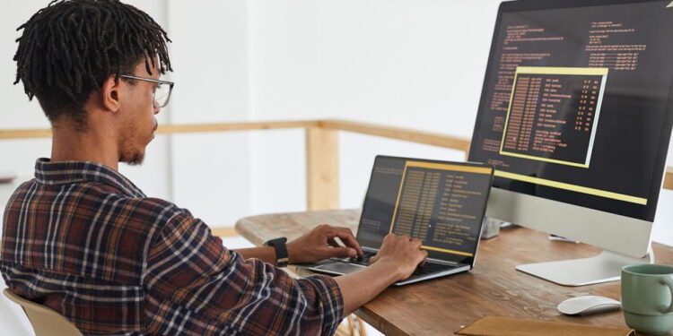 Work Remotely, Earn Big: Top 5 Online Careers For 2024