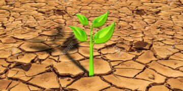 Ignite Your Leadership: 6 Essential Principles for Thriving in Tough Times