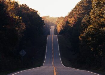 Master the Ups and Downs of Entrepreneurship: Your Guide to Success