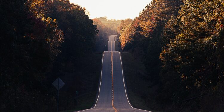 Master the Ups and Downs of Entrepreneurship: Your Guide to Success