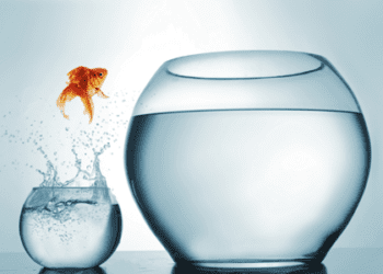 8 Essential Elements for an Unstoppable Business Plan!