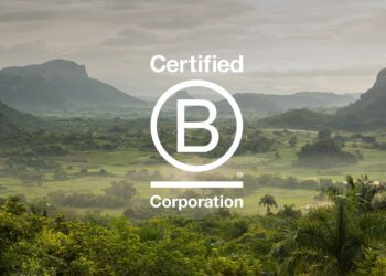 Unlocking the Power of B Corps: Discover How They Can Transform the World for Good
