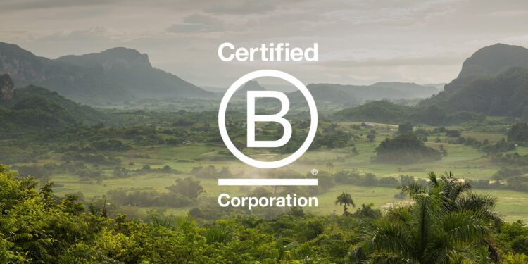 Unlocking the Power of B Corps: Discover How They Can Transform the World for Good