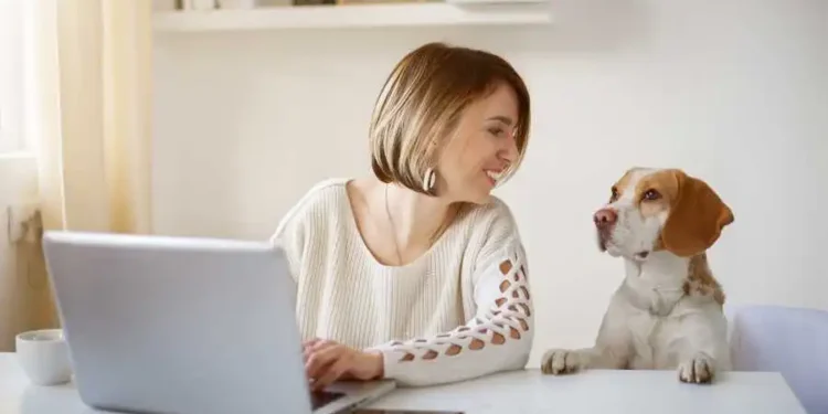 Unlock Your Potential: Discover the 10 Best Freelance Gigs and Get Started Today!