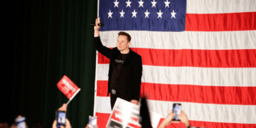 Elon Musk voter sweepstakes