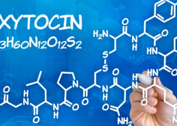 How Oxytocin Shapes Our Friendships