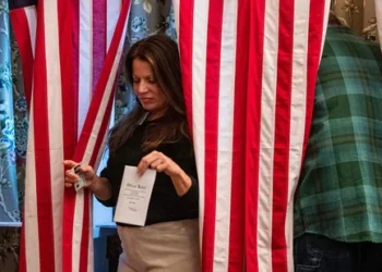 Trump Victory Turnout Analyzed