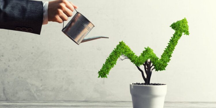 Proven Strategies to Boost Your Income