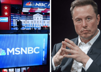 Is Elon Musk Buying MSNBC?